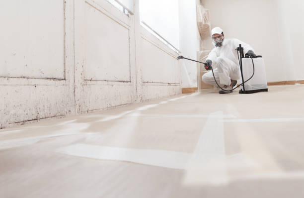 24/7 Emergency Attic Mold Remediation experts in New Bloomfield, PA
