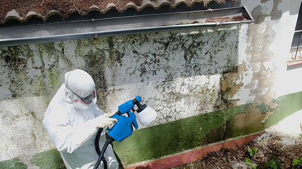 Top rated local Attic Mold Remediation specialists in New Bloomfield, PA
